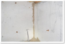 写真：床下、コンクリート部分/イエシロアリの蟻道